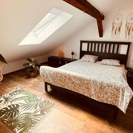 Tanny Boho Housy Na Pešej Zóne S 2 Parkovacími Miestami * Piest'any