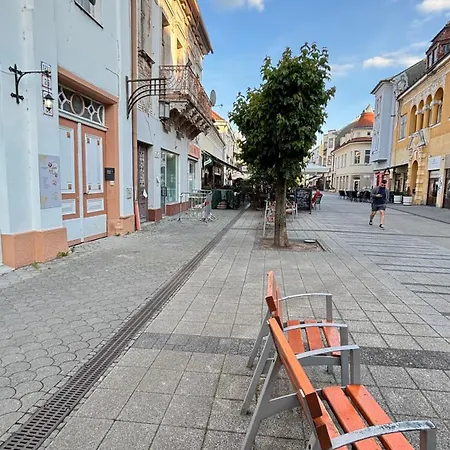 Tanny Boho Housy Na Pešej Zóne S 2 Parkovacími Miestami Apartamento *