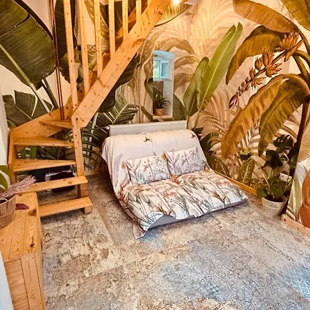 Tanny Boho Housy Priamo Na Pesej Zone * Piest'any