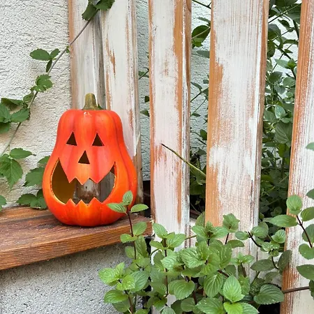 Tanny Boho Housy Na Pešej Zóne S 2 Parkovacími Miestami Apartamento