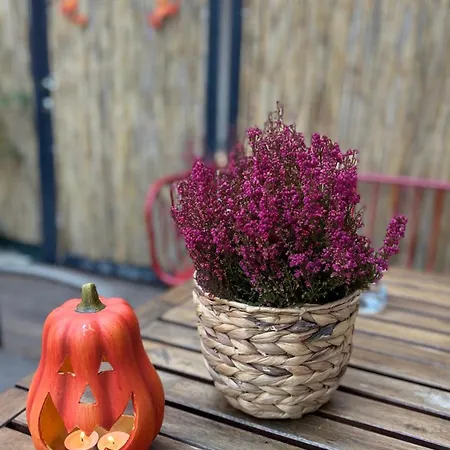 Tanny Boho Housy Na Pešej Zóne S 2 Parkovacími Miestami Apartamento *