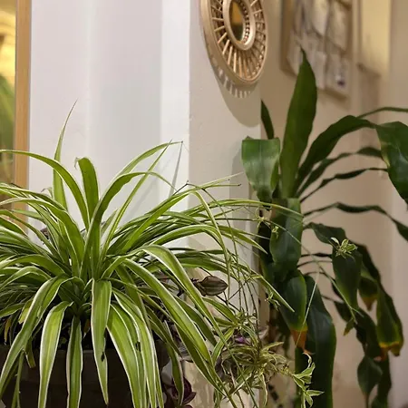 Tanny Boho Housy Na Pešej Zóne S 2 Parkovacími Miestami Apartamento Piest'any