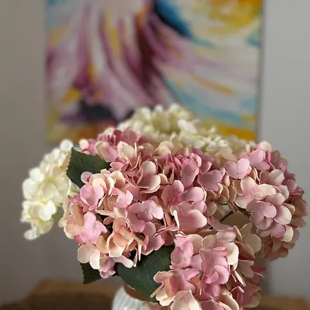 Apartamento Tanny Boho Housy Na Pešej Zóne S 2 Parkovacími Miestami *