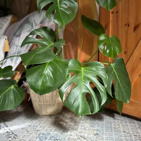 Tanny Boho Housy Na Pešej Zóne S 2 Parkovacími Miestami Apartamento Piest'any