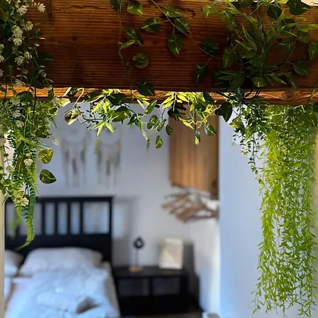 Tanny Boho Housy Na Pesej Zone Appartement *